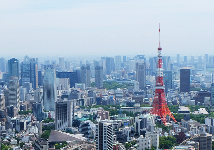 Japan Property Investment Management - The Firm